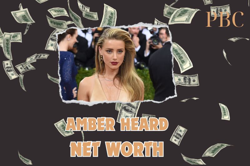 What is the Net Worth of Amber Heard in 2024?