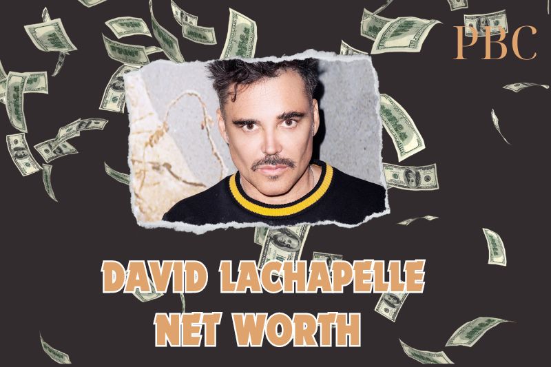 What is the Net Worth of David LaChapelle in 2024?