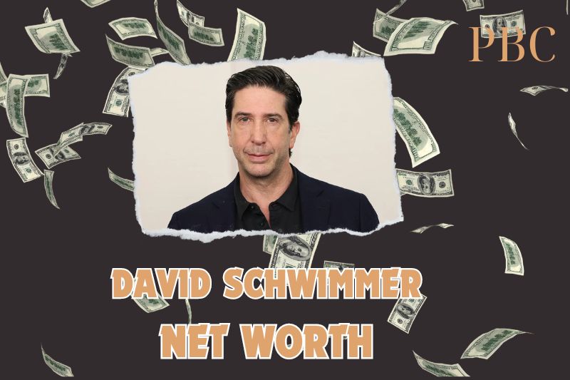 What is the Net Worth of David Schwimmer in 2024?