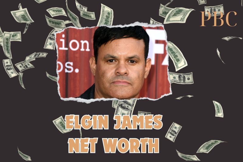 What is the Net Worth of Elgin James in 2024?