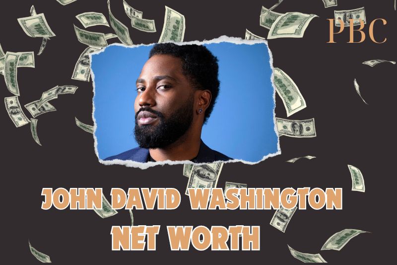 What is the Net Worth of John David Washington in 2024?