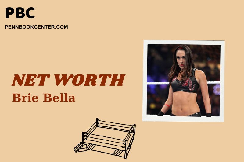 What is Brie Bella Net Worth 2024: Career, Income Sources, and Achievements