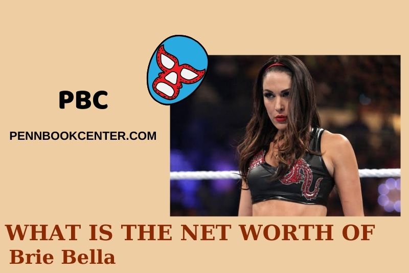 What is Net Worth of Brie Bella in 2024