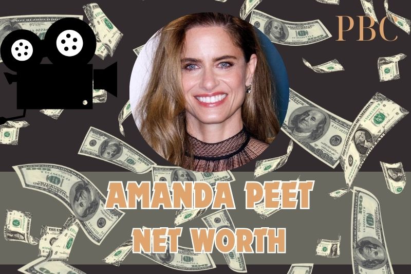 What is the Net Worth Of Amanda Peet in 2024