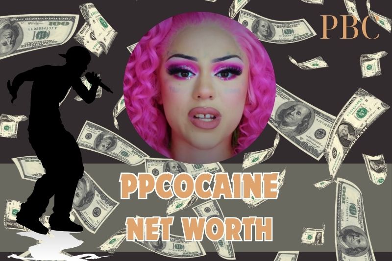 Ppcocaine Net Worth 2024: How She Built Her Wealth And Financial Success