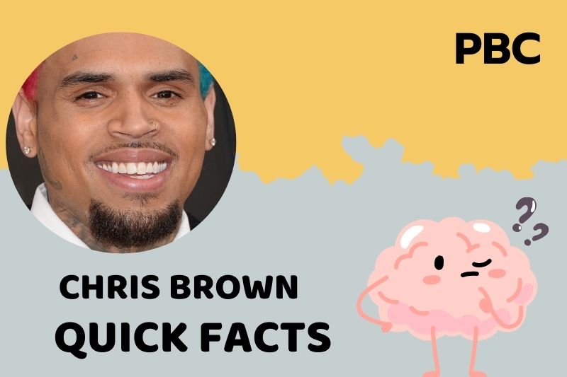 Chris Brown Net Worth 2025: Wealth, Salary, And Financial Overview