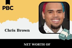 Chris Brown Net Worth 2025: Wealth, Salary, And Financial Overview