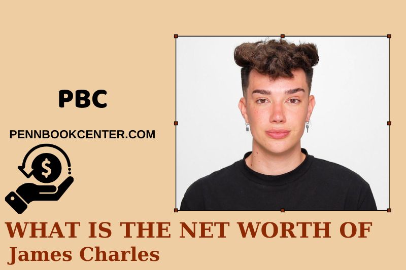 What is Net Worth of James Charles in 2025 4 What is Net Worth of James Charles in 2025