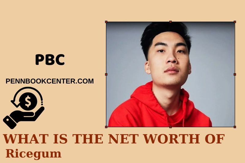 What is Net Worth of Ricegum in 2025 4 What is Net Worth of Ricegum in 2025