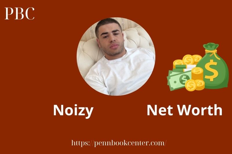 What is Noizy Net Worth 2025 Salary Wealth Career Earnings