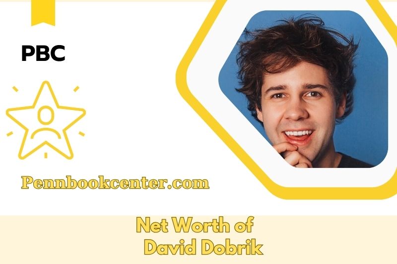 What is the Net Worth of David Dobrik in 2025 4 What is the Net Worth of David Dobrik in 2025