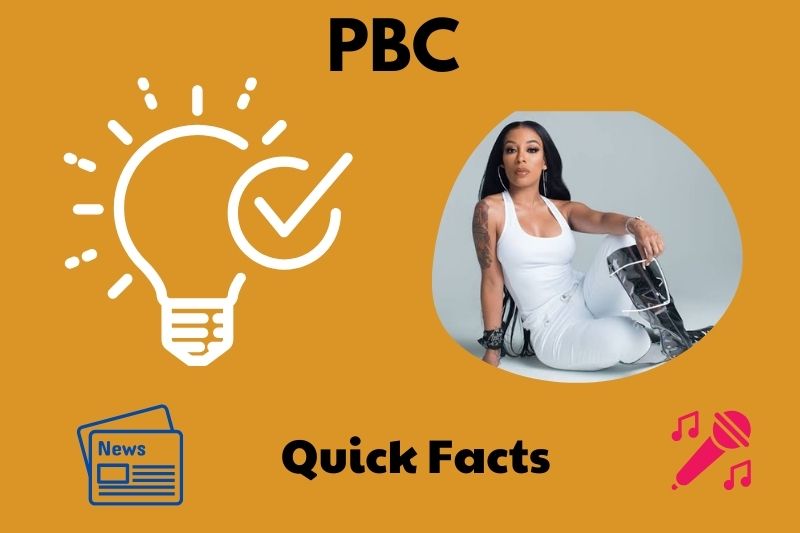 K Michelle Quick Facts