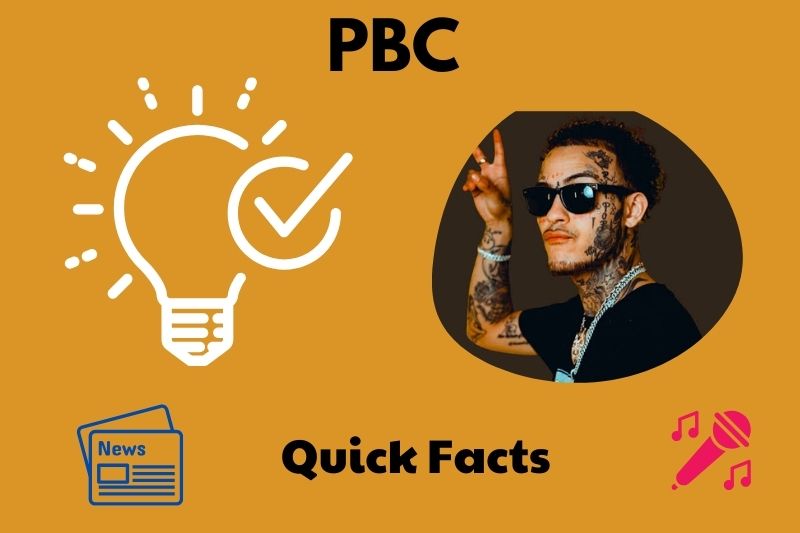 Lil Skies Quick Facts