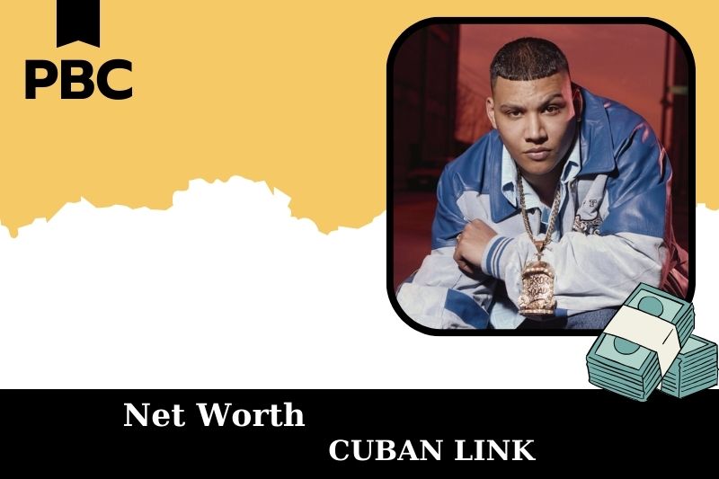 What is Net Worth of Cuban Link in 2025 4 What is Net Worth of Cuban Link in 2025