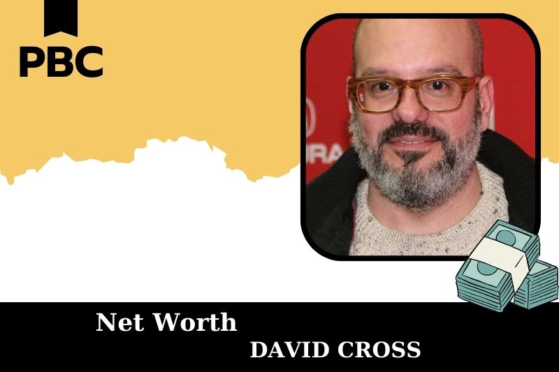 What is Net Worth of David Cross in 2025 4 What is Net Worth of David Cross in 2025