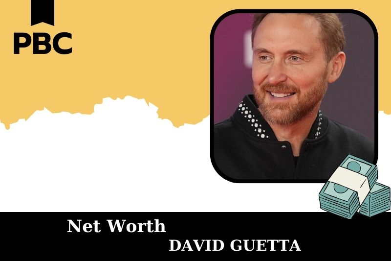What is Net Worth of David Guetta in 2025 4 What