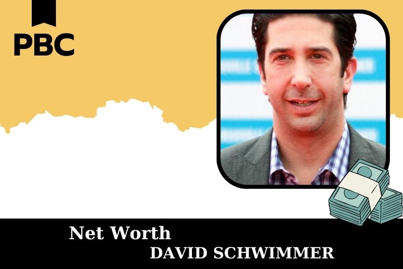 What is Net Worth of David Schwimmer in 2025 4 What is Net Worth of David Schwimmer in 2025