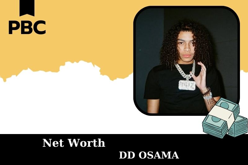 DD Osama Net Worth 2025: How Much Does He Earn And Make?
