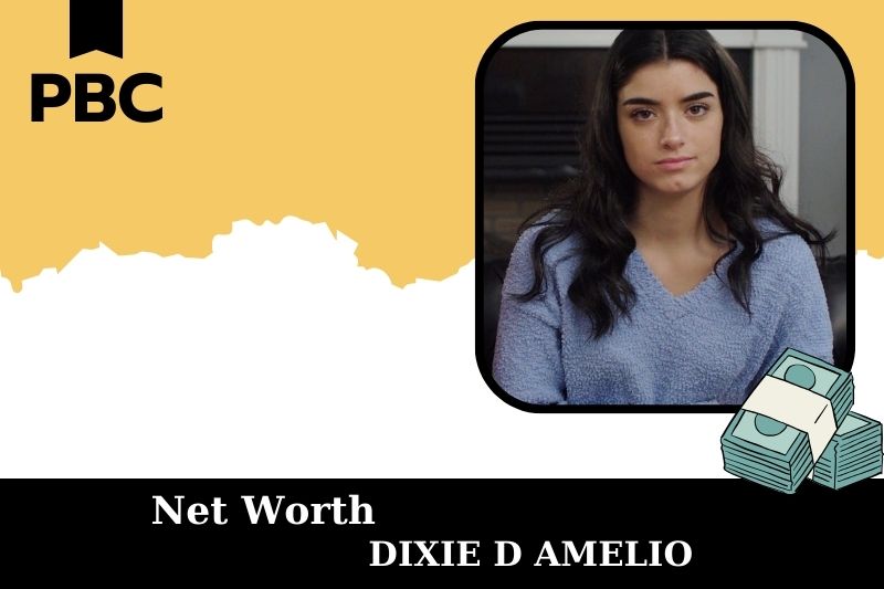 What is Net Worth of Dixie D Amelio in 2025 4 What