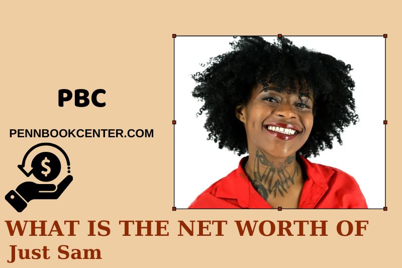 What is Net Worth of Just Sam in 2025 4 What is Net Worth of Just Sam in 2025