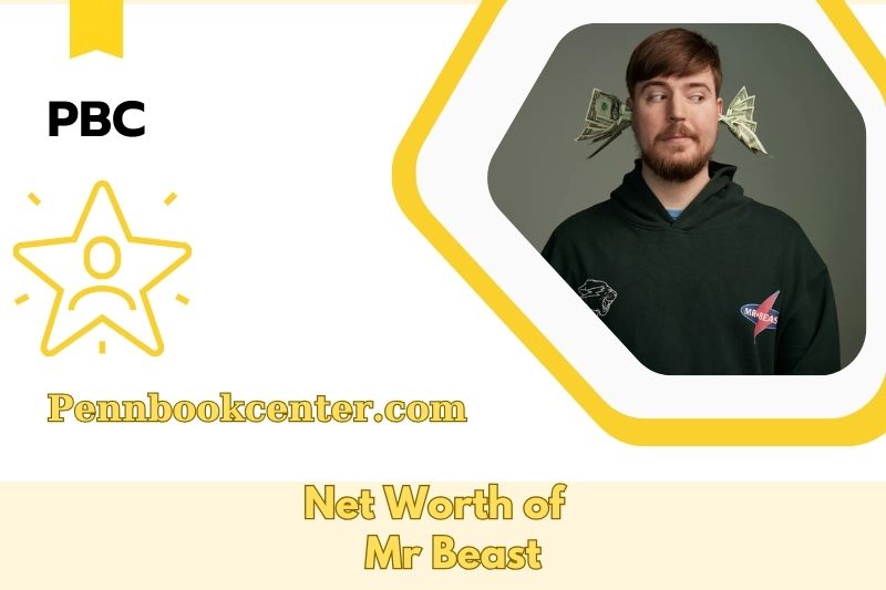 What is Net Worth of Mr Beast in 2025