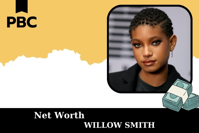 What is Net Worth of Willow Smith in 2025 4 What