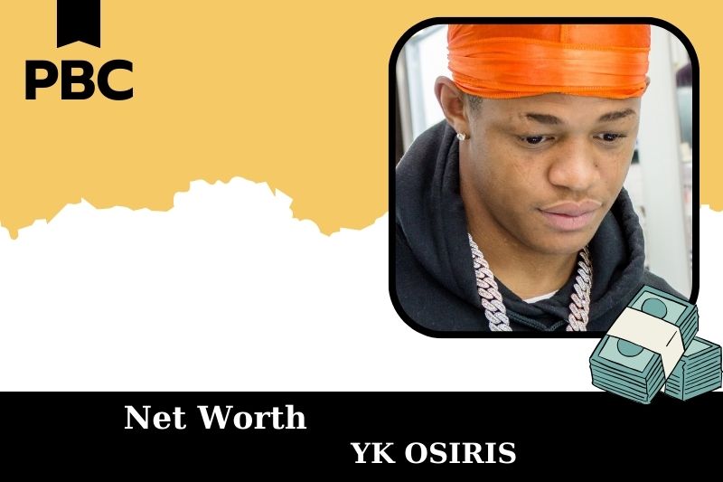 What is Net Worth of Yk Osiris in 2025 4 What