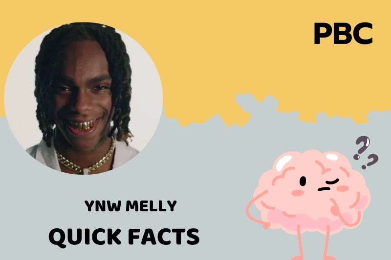 Ynw Melly Quick Facts 3 Ynw Melly Quick Facts